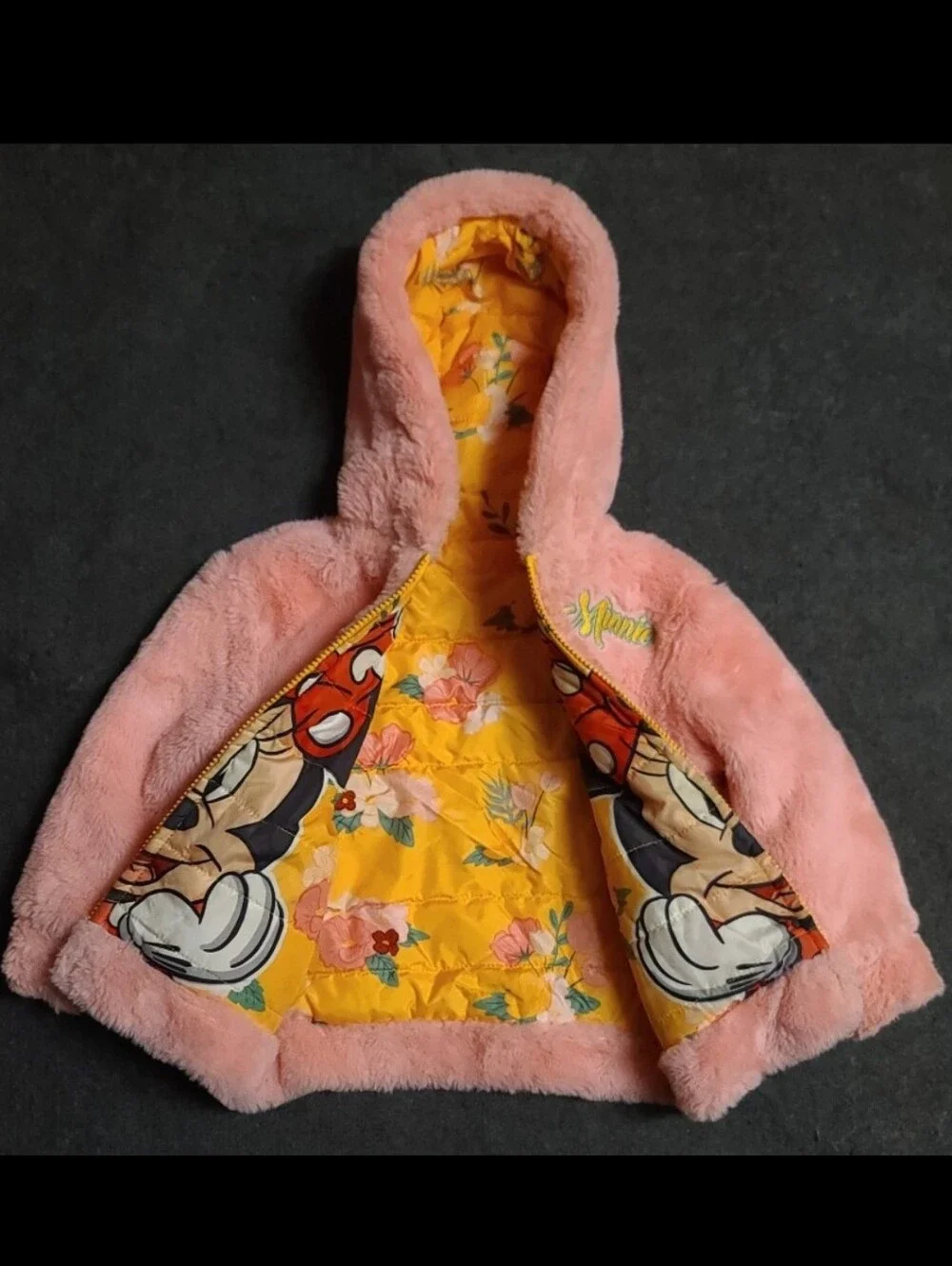 Disney minnie mouse